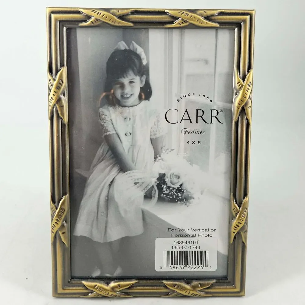 Carr Gold silver Swirly Scroll Art Deco Style Picture Frame 4X6